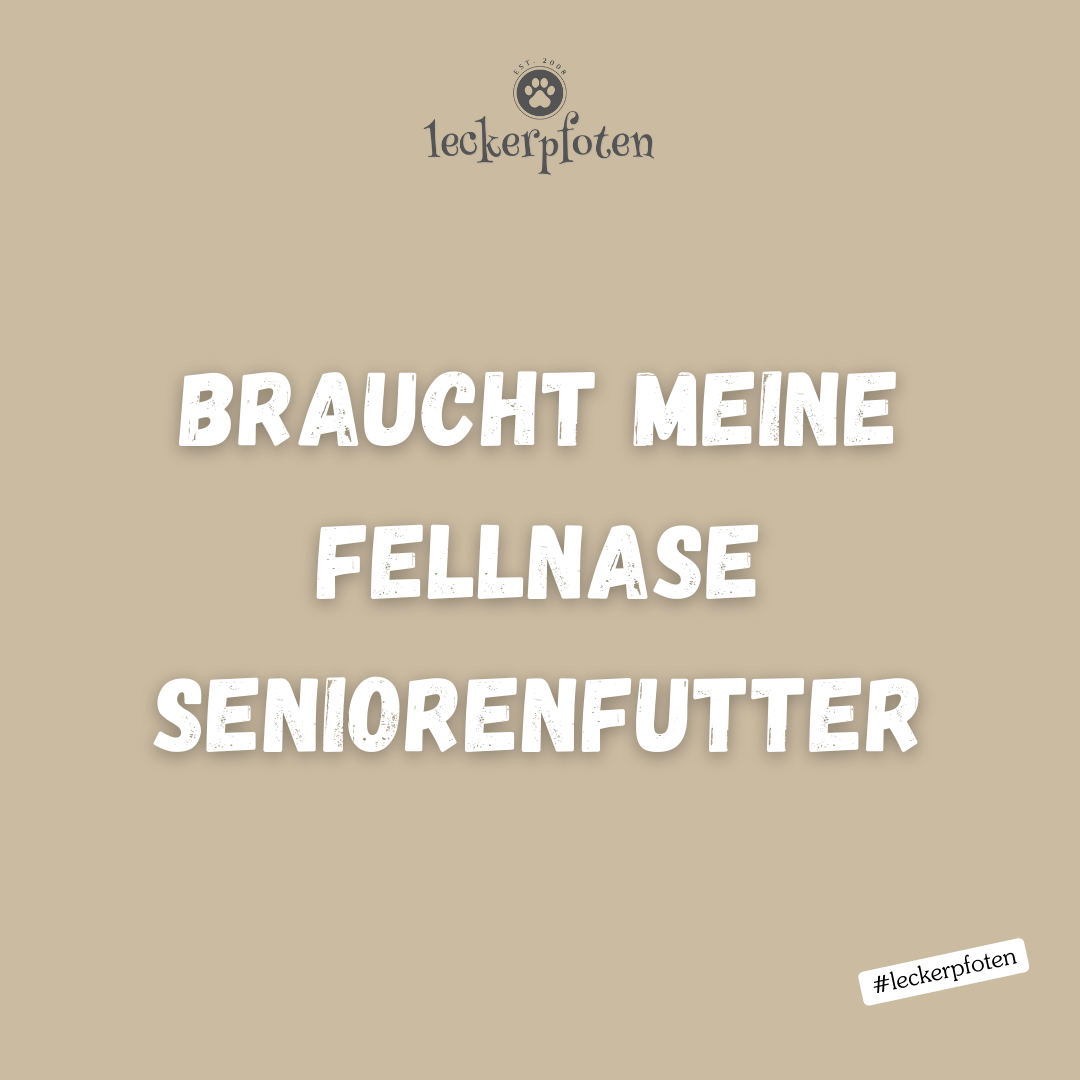 Braucht meine Fellnase Seniorenfutter